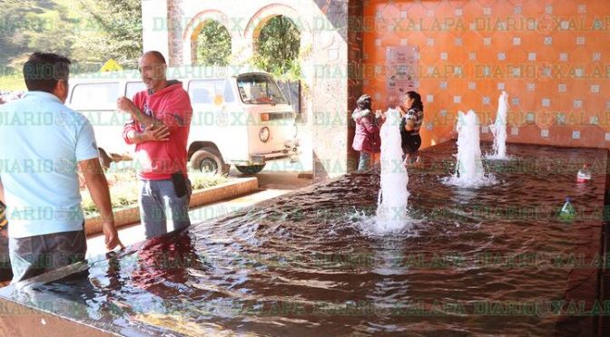 Veracruz: Políticos con concesiones para uso y explotación del agua (El Piñero)