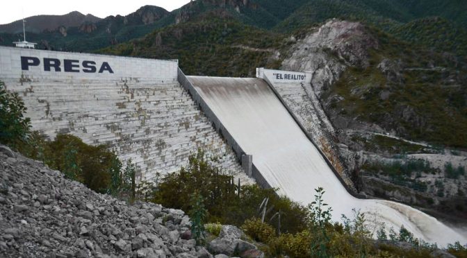 San Luis Potosí: Presa El Realito también está llena de lirio acuático; CEA (Código San Luis)