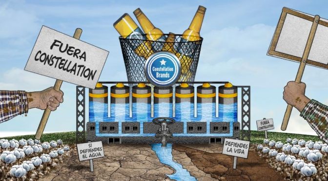 Baja California-La cervecera que se va de Mexicali, pero pelea por el agua (Proceso)