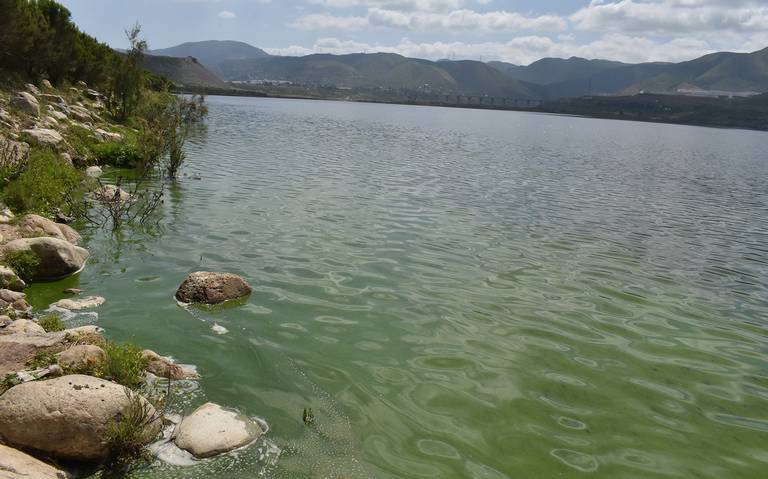 Agua