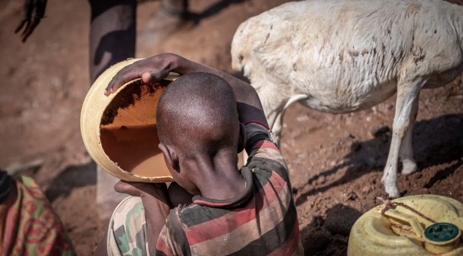 Global – Cosechas de agua para alimentar a la humanidad (El País)