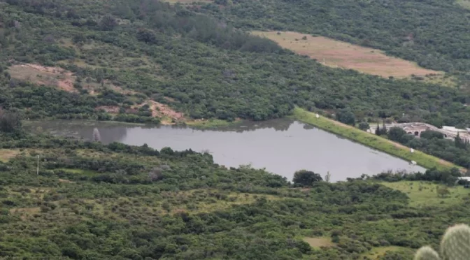 Guanajuato – ¿Todavía hay sequía en Guanajuato? Estas son las reservas actuales de agua que tiene el estado (AM)