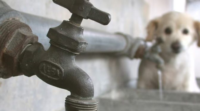 Hidalgo – Alcalde de Hidalgo denuncia huachicoleo de agua por parte de vecinos de Veracruz; suman 2 mil 500 conexiones ilegales (El Universal)