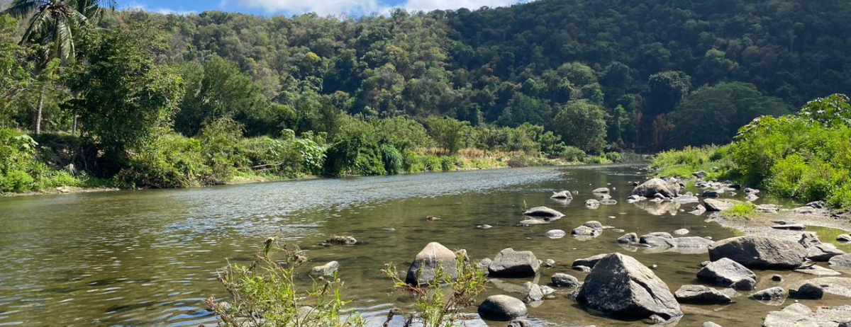 Guanajuato – Alerta por posible desborde del Río Laja en Guanajuato: cierran cruces y habilitan albergues (Periódico correo)